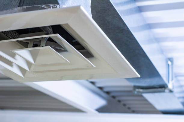 Best Affordable Duct Cleaning Services  in Trinity, AL