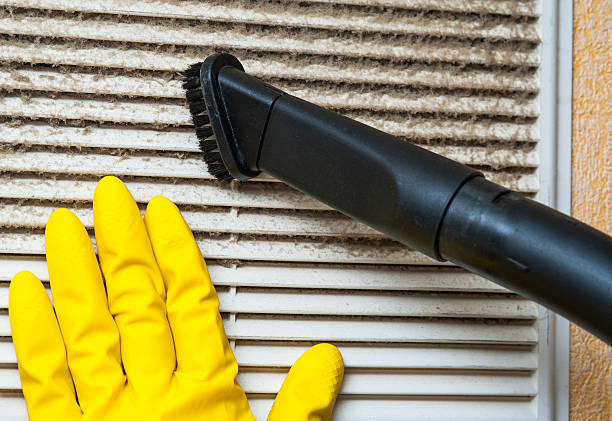 Best Duct Cleaning for Homes  in Trinity, AL